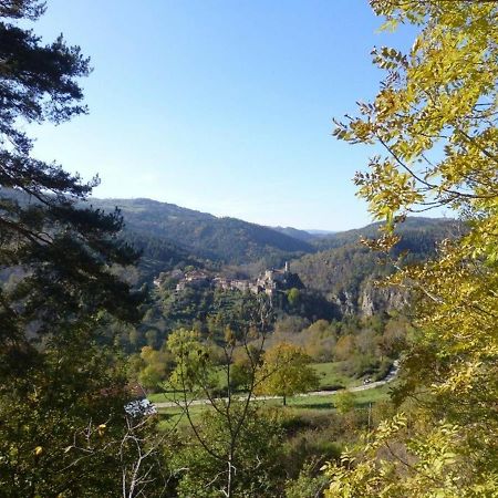 Gite En Pierre Avec Terrasses, Proche De Sites Medievaux, Ideal Pour Famille Avec Equipements Bebe. - Fr-1-582-256 Boisset  Luaran gambar