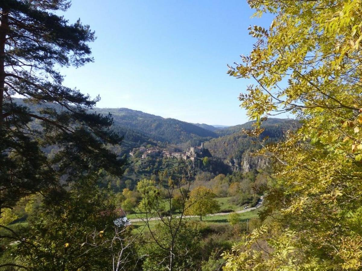 Gite En Pierre Avec Terrasses, Proche De Sites Medievaux, Ideal Pour Famille Avec Equipements Bebe. - Fr-1-582-256 Boisset  Luaran gambar